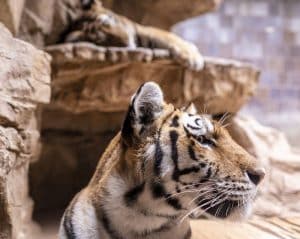 Visite du zoo de Fréjus